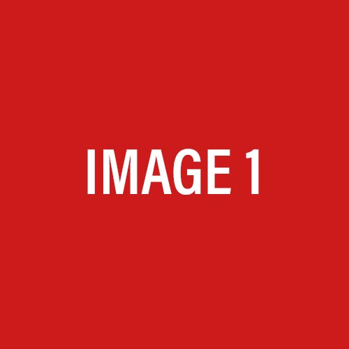 ZF45-1 – Image 2